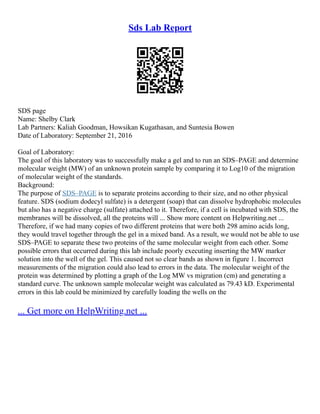 Sds Lab Report
SDS page
Name: Shelby Clark
Lab Partners: Kaliah Goodman, Howsikan Kugathasan, and Suntesia Bowen
Date of Laboratory: September 21, 2016
Goal of Laboratory:
The goal of this laboratory was to successfully make a gel and to run an SDS–PAGE and determine
molecular weight (MW) of an unknown protein sample by comparing it to Log10 of the migration
of molecular weight of the standards.
Background:
The purpose of SDS–PAGE is to separate proteins according to their size, and no other physical
feature. SDS (sodium dodecyl sulfate) is a detergent (soap) that can dissolve hydrophobic molecules
but also has a negative charge (sulfate) attached to it. Therefore, if a cell is incubated with SDS, the
membranes will be dissolved, all the proteins will ... Show more content on Helpwriting.net ...
Therefore, if we had many copies of two different proteins that were both 298 amino acids long,
they would travel together through the gel in a mixed band. As a result, we would not be able to use
SDS–PAGE to separate these two proteins of the same molecular weight from each other. Some
possible errors that occurred during this lab include poorly executing inserting the MW marker
solution into the well of the gel. This caused not so clear bands as shown in figure 1. Incorrect
measurements of the migration could also lead to errors in the data. The molecular weight of the
protein was determined by plotting a graph of the Log MW vs migration (cm) and generating a
standard curve. The unknown sample molecular weight was calculated as 79.43 kD. Experimental
errors in this lab could be minimized by carefully loading the wells on the
... Get more on HelpWriting.net ...
 