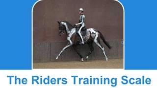 The Riders Training Scale 
 