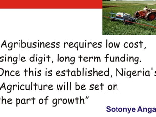 The right funding for agriculture in nigeria by sotonye anga