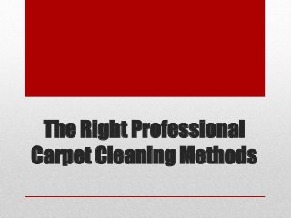 The Right Professional 
Carpet Cleaning Methods 
 