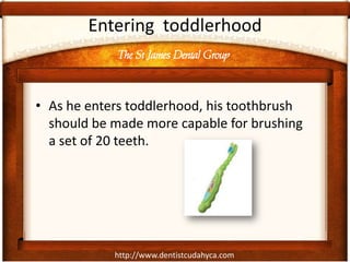 The St James Dental Group
http://www.dentistcudahyca.com
Entering toddlerhood
• As he enters toddlerhood, his toothbrush
should be made more capable for brushing
a set of 20 teeth.
 