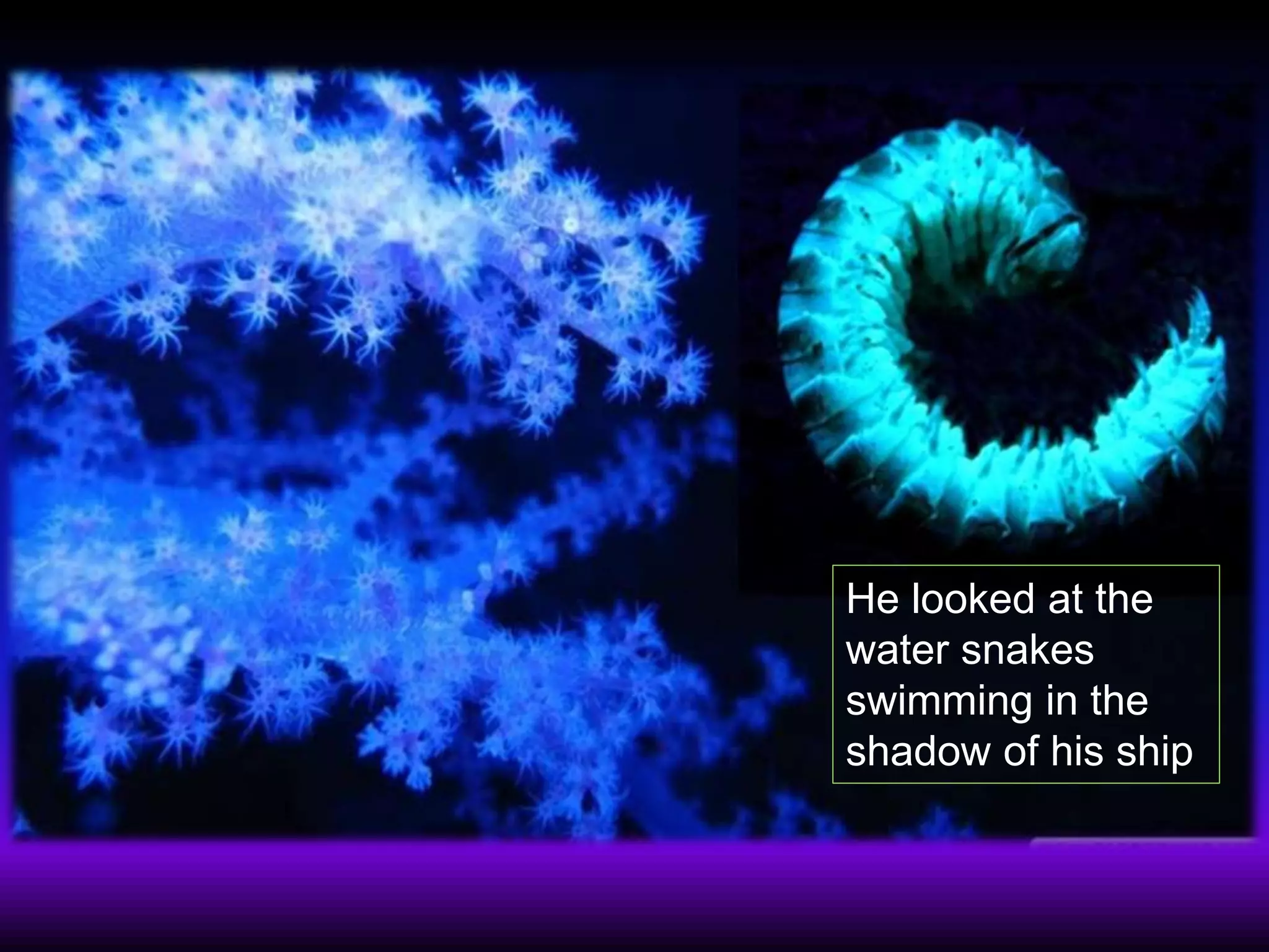 The Rime of Ancient Mariner- 10th CBSE | PPTX