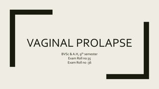 VAGINAL PROLAPSE
BVSc & A.H, 9th semester
Exam Roll no:35
Exam Roll no :36
 