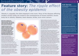 Feature story: The ripple effect
of the obesity epidemic 	
Obesity is, arguably, the silent elephant in the room. Many of the diseases afflicting
modern society today are rooted in the consequences of excess nutrition, excess
body fat or obesity: diabetes, heart disease, stroke, even some cancers.
Ask Garvan
Q: I’ve noticed the Garvan website looks different.
Why has it changed?
A: If you haven’t visited the Garvan website in a
while, you will notice we have updated the look
of the site. However, the changes are not purely
cosmetic. They are aimed at increasing the amount
of useful information contained on the site, as well
as making it easier to navigate.
Q: What can I find on the site – www.garvan.org.au?
A: The Garvan website contains the latest news
from Garvan’s labs, as well as a breakdown of
the research being carried out at Garvan.
The site also provides a review of some of the
major breakthroughs made by Garvan’s scientists
throughout the years. For students, there is
information about postgraduate studies and
undergraduate research, and for the industry
there is information about how Garvan collaborates
with other organisations around the globe. There
are also examples of how people currently support
Garvan’s work, information about how you can
support Garvan’s research, and become involved
with Garvan through seminars and tours, or as a
volunteer. Also look out for our new video gallery!
Q: I notice something on the website called
Garvan’s Supporter Centre. What will I find there?
A: A quick way to access the Supporter Centre is
to visit www.giving.garvan.org.au/supporter-centre.
The Garvan Supporter Centre is a place where you
can get involved with Garvan. For example, you
can register for events, make a donation, or join
Garvan’s online community to receive our monthly
e-News bulletin.
Celebrate with
Garvan
Do you have a special celebration coming up?
Why not ask your friends and relatives to help
you celebrate by making a donation to Garvan
in lieu of a gift? If you let us know in advance,
we can provide you with attractive, personalised
envelopes to distribute to your guests.
That way you and your guests will know you’ve
made a meaningful contribution to medical
research – another reason to celebrate!
For more information, contact the Supporter
Care team on (02) 9295 8110.
Below is a list of just some of the generous
people who celebrated with us recently:
Alexander Boyarsky’s 70th birthday
Neville Moodie and Kim Yen’s Wedding
Madhavi Parker’s 40th Birthday
Nicholas Stewart and Sarah Shands’ Wedding
Obesity plays a significant and
direct role in the development of
cardiovascular disease, Type 2 diabetes
mellitus, hypertension, obstructive sleep
apnoea, gastro-oesophageal reflux
disease, depression and arthritis.
It accelerates the onset of Type
1 diabetes, is the major cause of
infertility in Australia and its presence
predicts worse outcomes for sufferers
of breast and other cancers. Obesity
carries stigma and can be a source
for discrimination: obese people
earn less for their qualification levels,
are promoted less frequently when
appropriately credentialled and are
discriminated against in many stations
of life, from the cradle to the grave.
Obesity has reached epidemic
proportions. Estimates show 60% of
Australian adults are overweight or obese.
The direct health costs of obesity are
estimated to exceed $2 billion annually.
When the broader impact of obesity on
the economy is considered (sick leave
and premature loss of workforce), the cost
in lost productivity is twice that of health costs.
Given the human and economic costs of obesity,
we can no longer ignore the elephant in the room.
At the Garvan Institute of Medical Research, researchers
have been examining the impact of genetic and
environmental factors on body fat, its distribution
and human health for more than two decades.
The legacy of work started with Professor Lesley
Campbell and Professor Donald Chisholm continues
within the Diabetes and Obesity Program, with a
broad network of national and international
collaborations and bed-to-bench clinical scientific
projects that are changing the way we consider the
problem of excess body fat.
One area of research undertaken by obesity and diabetes
researchers at Garvan is understanding how weight
loss improves human health and improves diabetes and
related diseases. Professor Katherine Samaras, working
within a collaborative team that includes basic scientists,
cardiologists and surgeons, has been examining the
impact of bariatric surgery on health at Garvan for the
last five years.
Modest weight loss, even five kilograms, improves many
health problems. It improves diabetes control, blood pressure,
cholesterol and systemic inflammation. It prevents the
development of diabetes in those with a high risk. It improves
outcomes in women who have had breast cancer. It restores
fertility in polycystic ovary syndrome. Yet many people who
have ever tried to lose weight find it exceedingly difficult to
achieve and maintain even a modest loss.
Bariatric procedures, such as gastric banding, sleeve
gastrectomy and gastric bypass are proven, effective
treatments for obesity, particularly where diabetes co-exists.
Data at 10 years show reversal of the majority of diabetes
cases, 95% reduction in new diabetes cases, 50% reduction
in new heart disease and 60% reduction of new cancers.
The evidence for the benefits of bariatric surgery is
compelling, yet little is known about how the surgery and its
effects on weight mediate these health improvements. Some
of the research conducted at Garvan has been examining
these mechanisms, particularly the way metabolism and the
immune system interact.
Our research team, led by Professor Samaras, recently
showed that bariatric surgery reversed all cases of
pre-diabetes and 70% of Type 2 diabetes within two weeks
of gastric banding surgery. These findings were published
in the prestigious international journal Diabetologia.
The improvements were associated with a massive reduction
in a type of white blood cell (T-lymphocyte) which act
aggressively to promote systemic inflammation and tissue
destruction. The reduction of these pro-inflammatory
T-lymphocytes also predicted improved flexibility in the
usually stiff arteries of people with diabetes, important since
cardiovascular disease is the main cause of death in diabetes.
Reducing heart risk is a mainstay of diabetes care and our
researchers showed that a six kilogram weight loss achieved
an improvement in arterial flexibility associated with reduced
heart risk. Importantly, these effects were independent of the
cholesterol reduction accompanying weight loss.
The research conducted at the Garvan Institute on the
effects of bariatric surgery on health directly informs
our understanding of the efficacy and benefits of surgery.
It provides new information about how the hyperactive
immune system is calmed by caloric restriction (fasting)
and showed, for the first time, that this was directly linked
to the rapid improvement in diabetes and arterial health.
Current work undertaken by Professor Samaras and
collaborators includes examining adipose (fat) tissue genetic
signatures that predict long term outcomes after bariatric
surgery and the epigenetics of obesity – how our genes alter
their expression with different environmental exposures.
Fat cells
5breakthrough April 2014 | Issue 25
 