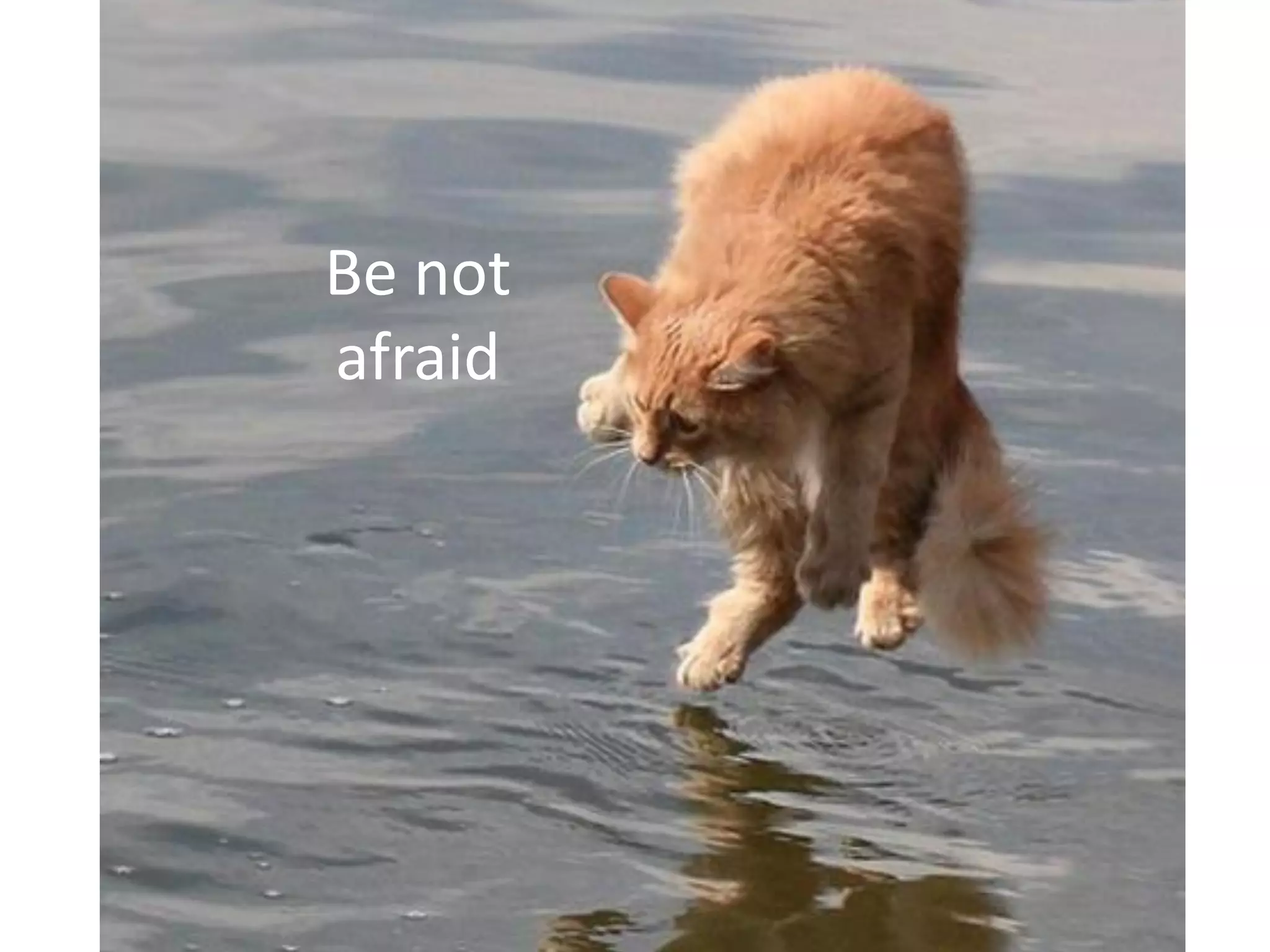 Thank you!
Lee Rainie
Email: lrainie@pewinternet.org
Twitter: @Lrainie

Kathryn Zickuhr
Email: kzickuhr@pewinternet.org
Twitter: @kzickuhr

Mary Madden
Email: mmadden@pewinternet.org
Twitter: @mary_madden
 