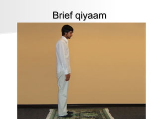 Brief qiyaam

 