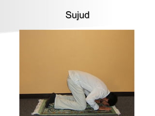 Sujud

 