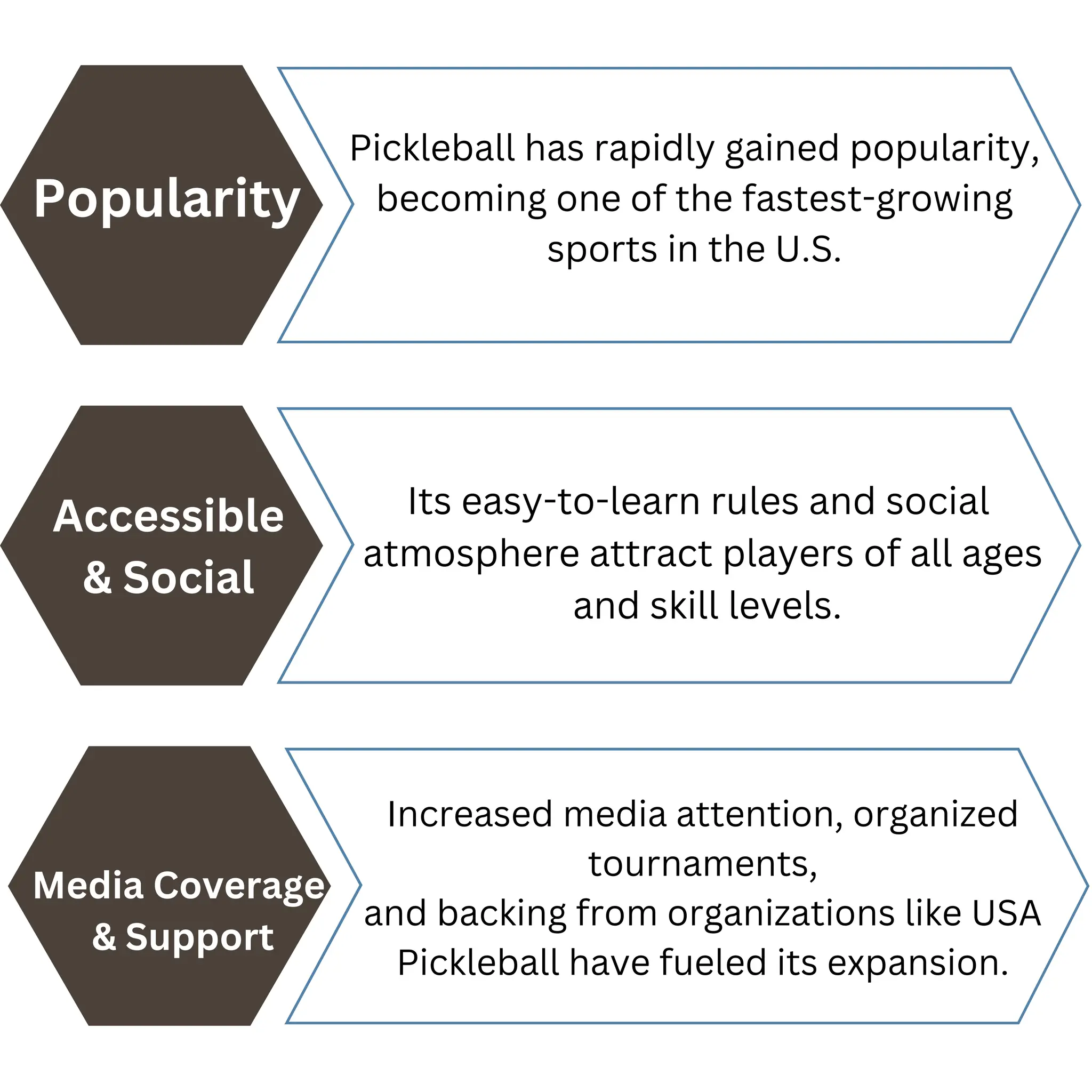 Information About: The Rise Of Pickleball | PDF