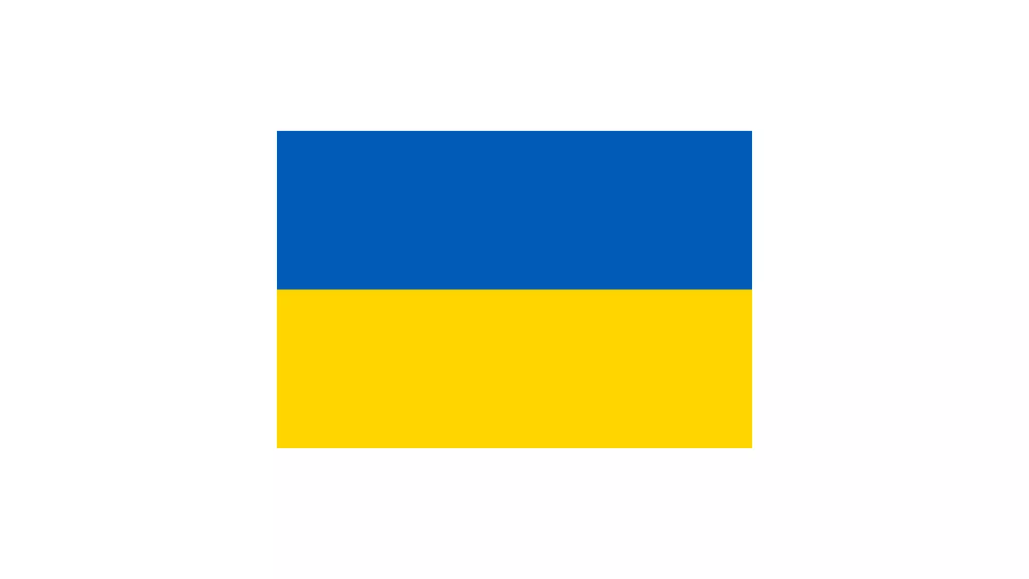 The Risks of YOLOing-2.pdf