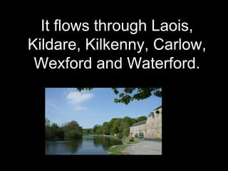 It flows through Laois,
Kildare, Kilkenny, Carlow,
Wexford and Waterford.
 
