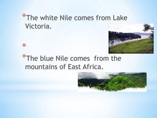 *The white Nile comes from Lake
Victoria.


*
*The blue Nile comes  from the
mountains of East Africa.
 