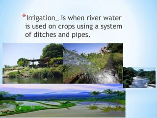 *Irrigation_ is when river water
 is used on crops using a system
 of ditches and pipes.
 