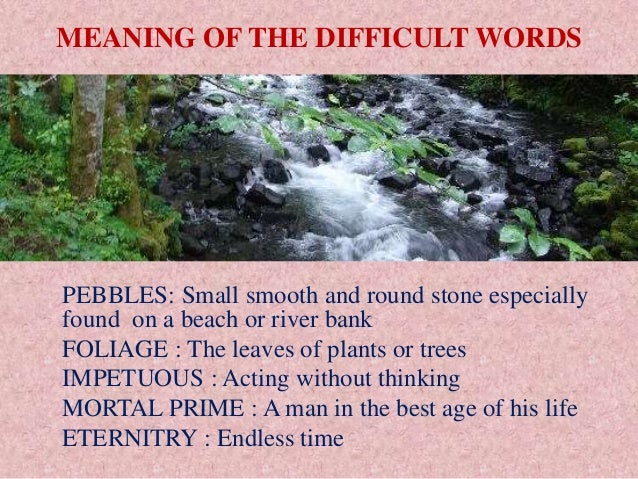 The River Power Point