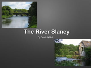 The River Slaney
By Sarah O'Neill
 