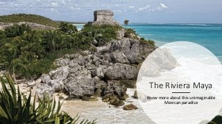 The Riviera Maya
Know more about this unimaginable
Mexican paradise
 