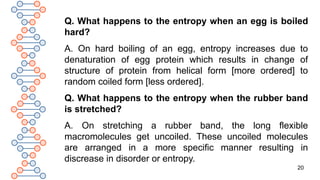 20
Q. What happens to the entropy when an egg is boiled
hard?
A. On hard boiling of an egg, entropy increases due to
denaturation of egg protein which results in change of
structure of protein from helical form [more ordered] to
random coiled form [less ordered].
Q. What happens to the entropy when the rubber band
is stretched?
A. On stretching a rubber band, the long flexible
macromolecules get uncoiled. These uncoiled molecules
are arranged in a more specific manner resulting in
discrease in disorder or entropy.
 
