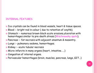 INTERNAL FEATURES
 Ice crystals can be found in blood vessels, heart & tissue spaces.
 Blood :- bright red in colour ( due to retention of oxyHb).
 Stomach :- numerous brown-black acute erosions,ulceration with
hemorrhages similar to pre-death stress (Wischnewsky spots).
 Pancreas :- fat necrosis with adjacent omentum & mesentry.
 Lungs :- pulmonary oedema, hemorrhages.
 Kidney :- acute tubular necrosis
 Micro-infarcts in many organs (heart, intestine……)
 Congestion of internal organs.
 Perivascular hemorrhages (brain, muscles, pancreas, lungs, GIT…)
10
 