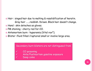  Hair : singed hair due to melting & resolidification of keratin.
Gray hair …….reddish /brown. Black hair doesn’t change.
 Hand : skin detaches as gloves.
 PM staining : cherry red for CO.
 Antemortem burn : hyperemia (Vital rexⁿ).
 Blister :fluid filled /ruptured small or involve large area.
Secondary burn blisters are not distingused from
 CO poisoning
 Ante/Postmortem gasoline exposure
 Deep coma
46
 