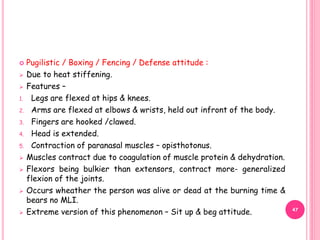  Pugilistic / Boxing / Fencing / Defense attitude :
 Due to heat stiffening.
 Features –
1. Legs are flexed at hips & knees.
2. Arms are flexed at elbows & wrists, held out infront of the body.
3. Fingers are hooked /clawed.
4. Head is extended.
5. Contraction of paranasal muscles – opisthotonus.
 Muscles contract due to coagulation of muscle protein & dehydration.
 Flexors being bulkier than extensors, contract more- generalized
flexion of the joints.
 Occurs wheather the person was alive or dead at the burning time &
bears no MLI.
 Extreme version of this phenomenon – Sit up & beg attitude. 47
 