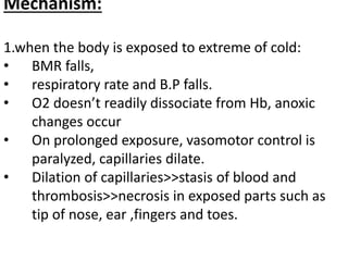 Mechanism:
1.when the body is exposed to extreme of cold:
• BMR falls,
• respiratory rate and B.P falls.
• O2 doesn’t readily dissociate from Hb, anoxic
changes occur
• On prolonged exposure, vasomotor control is
paralyzed, capillaries dilate.
• Dilation of capillaries>>stasis of blood and
thrombosis>>necrosis in exposed parts such as
tip of nose, ear ,fingers and toes.
 