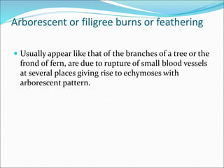 Arborescent or filigree burns or feathering
 Usually appear like that of the branches of a tree or the
frond of fern, are due to rupture of small blood vessels
at several places giving rise to echymoses with
arborescent pattern.
 