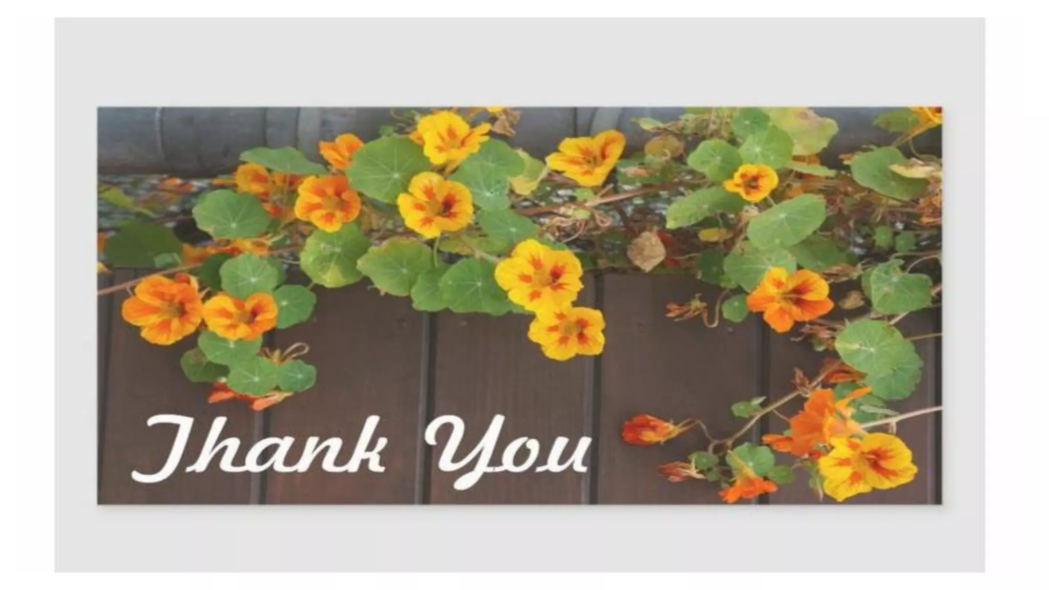 Thermal methods of  Analysis 