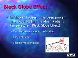 Black Globe Effect In Chicken houses it has been proven that by controlling the Mean Radiant Temperature ( Black Globe Effect) The chickens are more comfortable They eat better Become more efficient 