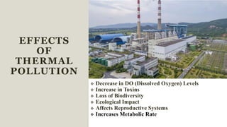 EFFECTS
OF
THERMAL
POLLUTION
 Decrease in DO (Dissolved Oxygen) Levels
 Increase in Toxins
 Loss of Biodiversity
 Ecological Impact
 Affects Reproductive Systems
 Increases Metabolic Rate
reases Metabolic Rate
 