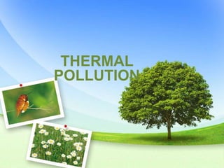 THERMAL
POLLUTION
 