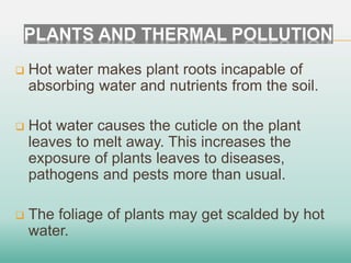Pathogen Thermal Thermal Pollution.pptx