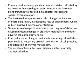 • Primary producers (e.g. plants, cyanobacteria) are affected by
warm water because higher water temperature increases
plant growth rates, resulting in a shorter lifespan and
species overpopulation.
• The increased temperature can also change the balance
of microbial growth, including the rate of algae blooms which
reduce dissolved oxygen concentrations.
• Temperature changes of even one to two degrees Celsius can
cause significant changes in organism metabolism and other
adverse cellular biology effects.
• Principal adverse changes can include rendering cell walls less
permeable to necessary osmosis, coagulation of cell proteins,
and alteration of enzyme metabolism.
• These cellular level effects can adversely affect mortality
and reproduction.
 