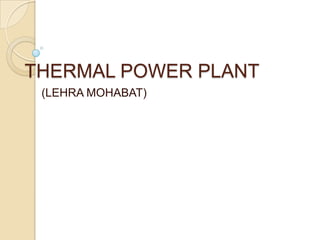 THERMAL POWER PLANT
(LEHRA MOHABAT)

 