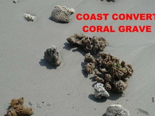 COAST CONVERTED TO CORAL GRAVE YARD 
