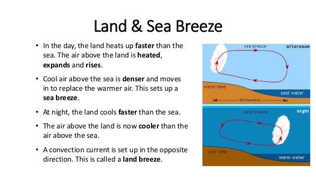 Thermal ppt explain water cycle with the help of diagram 