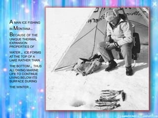 A MAN ICE FISHING
IN MONTANA .
BECAUSE OF THE
UNIQUE THERMAL
EXPANSION
PROPERTIES OF
WATER , ICE FORMS
AT THE TOP OF A
LAKE RATHER THAN
THE BOTTOM , THUS
ALLOWING MARINE
LIFE TO CONTINUE
LIVING BELOW ITS
SURFACE DURING
THE WINTER .
 
