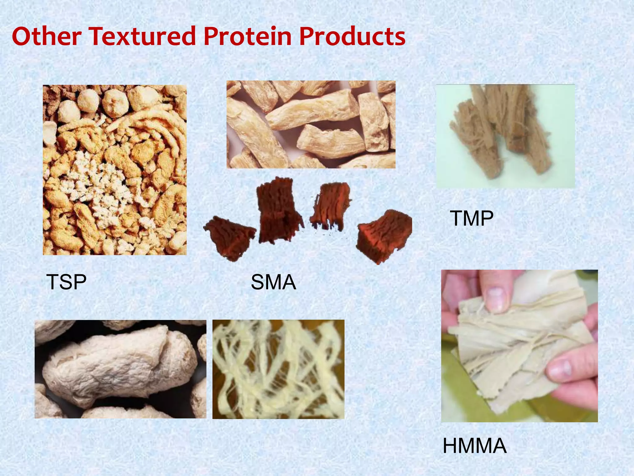 Other Textured Protein Products
HMMA
TSP SMA
TMP
 