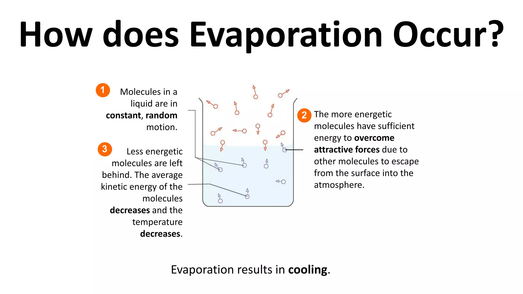Molecules in a
liquid are in
constant, random
motion.
The more energetic
molecules have sufficient
energy to overcome
attractive forces due to
other molecules to escape
from the surface into the
atmosphere.
Less energetic
molecules are left
behind. The average
kinetic energy of the
molecules
decreases and the
temperature
decreases.
Evaporation results in cooling.
1
2
3
How does Evaporation Occur?
 