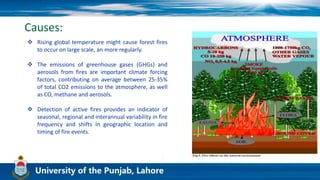 Causes:
 Rising global temperature might cause forest fires
to occur on large scale, an more regularly.
 The emissions of greenhouse gases (GHGs) and
aerosols from fires are important climate forcing
factors, contributing on average between 25-35%
of total CO2 emissions to the atmosphere, as well
as CO, methane and aerosols.
 Detection of active fires provides an indicator of
seasonal, regional and interannual variability in fire
frequency and shifts in geographic location and
timing of fire events.
 