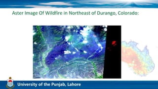 Aster Image Of Wildfire in Northeast of Durango, Colorado:
 