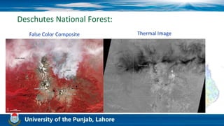 Deschutes National Forest:
False Color Composite Thermal Image
 