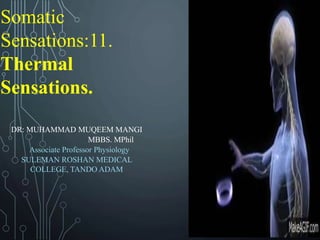 Somatic
Sensations:11.
Thermal
Sensations.
DR: MUHAMMAD MUQEEM MANGI
MBBS. MPhil
Associate Professor Physiology
SULEMAN ROSHAN MEDICAL
COLLEGE, TANDO ADAM
 