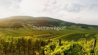 Thermenregion
 