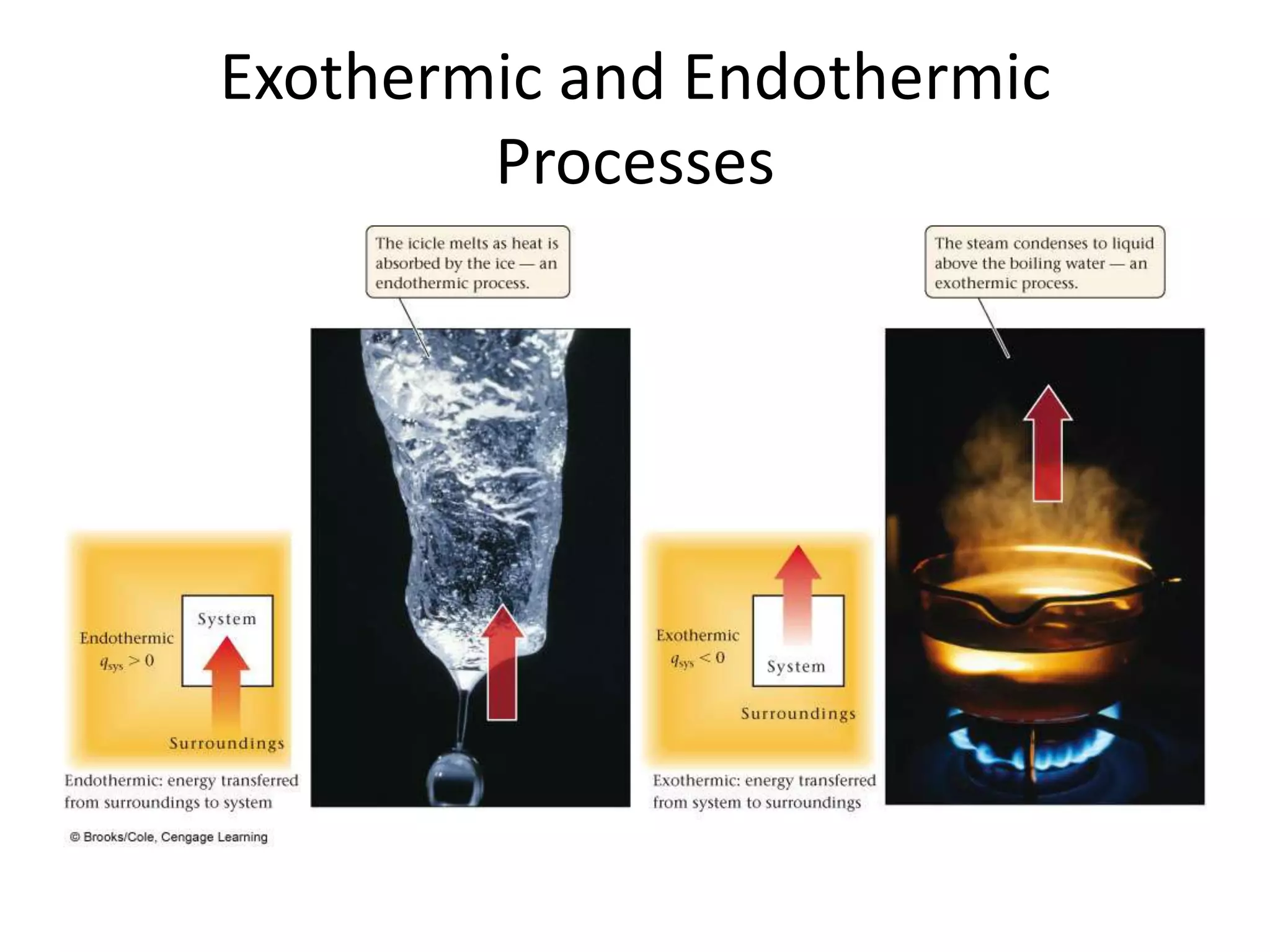 Exothermic and Endothermic Processes