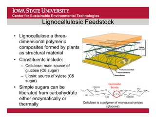 Thermochemical Conversion Of Biomass To Fuel cenusa Brown 5 25 12 PDF thermochemical-conversion-of-biomass-to-fuel-cenusa-brown-5-25-12-pdf
