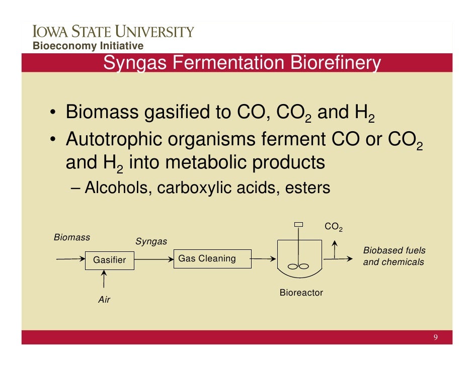 Thermochemical Processing Of Biomass Brown thermochemical-processing-of-biomass-brown