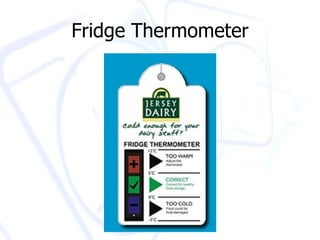 Fridge Thermometer 
