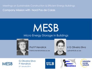 Meetings on Sustainable Construction & Efficient Energy Buildings

Company Mission with Nord Pas de Calais

MESB
Micro Energy Storage in Buildings

Prof P Hendrick
Patrick.hendrick@ulb.ac.be

MESB

Ir G Oliveira Silva
goliveir@ulb.ac.be

G Oliveira Silva
P Hendrick
21st January 2014

 