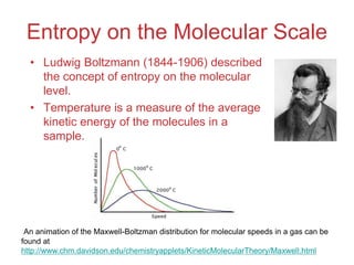 Entropy on the Molecular Scale
• Ludwig Boltzmann (1844-1906) described
the concept of entropy on the molecular
level.
• Temperature is a measure of the average
kinetic energy of the molecules in a
sample.
An animation of the Maxwell-Boltzman distribution for molecular speeds in a gas can be
found at
http://www.chm.davidson.edu/chemistryapplets/KineticMolecularTheory/Maxwell.html
 