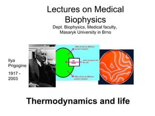 Thermodynamics   and life Ilya Prigogine 1917 - 2003 Lectures on Medical Biophysics Dept. Biophysics, Medical faculty,  Masaryk University in Brno 