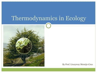 By Prof. Liwayway Memije-Cruz
Thermodynamics in Ecology
 